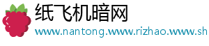 纸飞机暗网